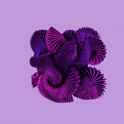 Hypno Wing #011