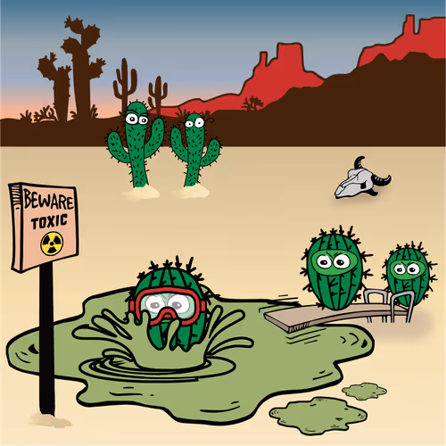 Item #29164304054676450139680214592481707222441411439689845905011177563625485238273 Media