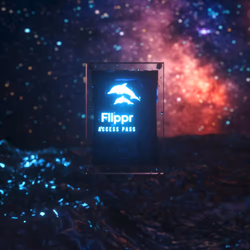 Flippr Access Pass VIP