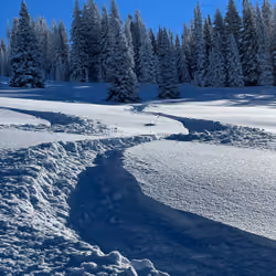 powder turn #4