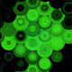 96527445992404266890076154738280616367072760300830295066330455356036683399169
