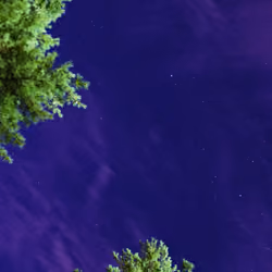 Night-01
