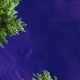 92915073695929192169124142211066609672223850797567251285324869233242569441281