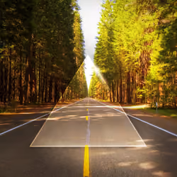 Road Not Traveled