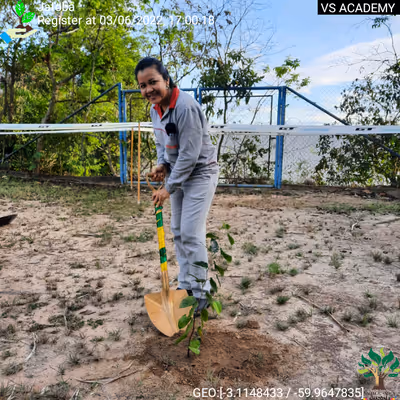 Item #8500196597889277390194123329501889087166328879864934763448348790730965123073 Media