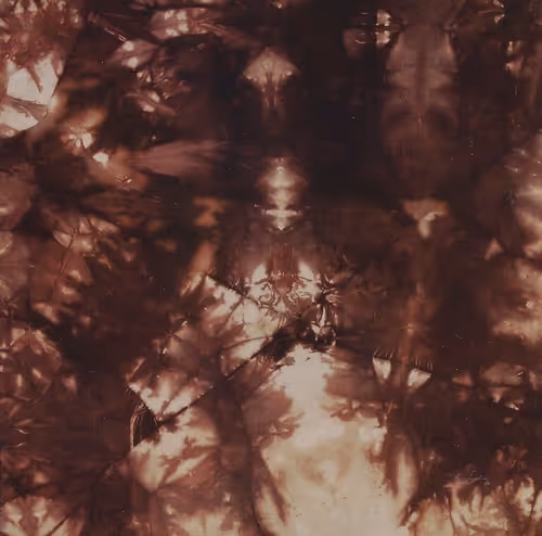 Item #104188272339356622327590887292958544295780476405951587730121661998667237687297 Media