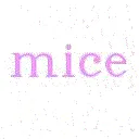 Item #9031440208850903464588697894987446727560386586684066627926118962478228439041 Media