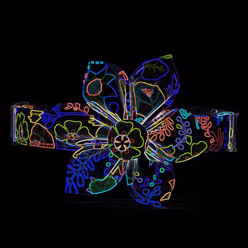 Item #70091610511292042878702066039231159687239777503764138416355142918276024107009 Media