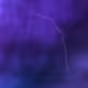 20809607294851809702565242843702797636353695458850278252972024016106969628673