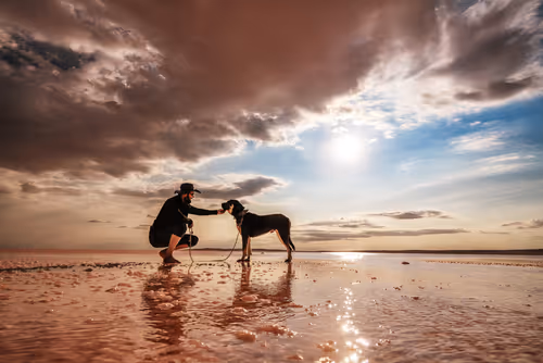 Item #103012301657456598627464593711191492996341926608798375780323323110919944273921 Media