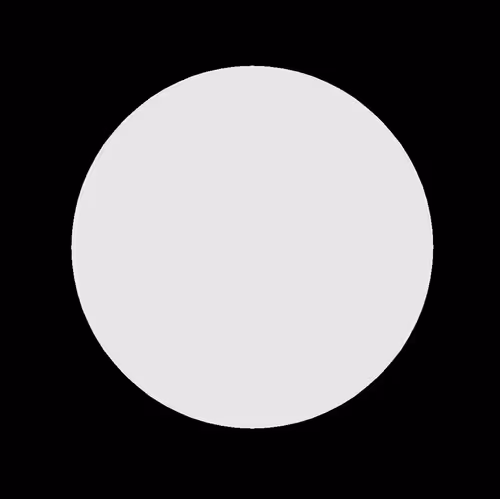 Item #77972013217353830209940119808729774410445516426371263683009214151446111453185 Media