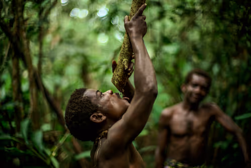 Item #28410794678939122859492626871196116087705428262137093470030241678954413948929 Media