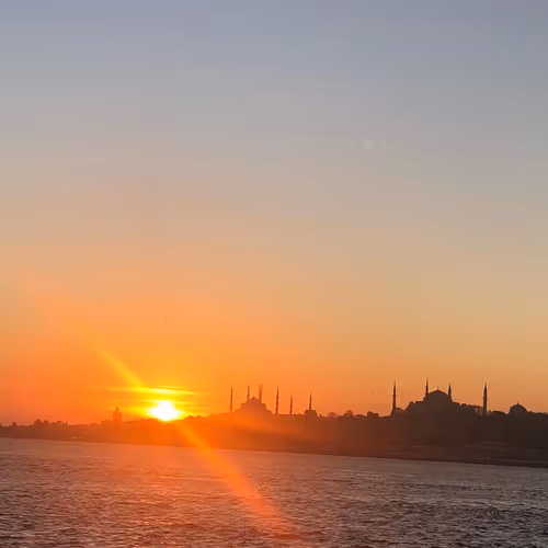 Artinvest82 Collection