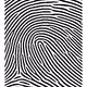 3799515490220879732882333409938015140683167415382329987461811146425706217473