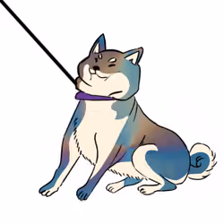 Felipe Pantone Shiba