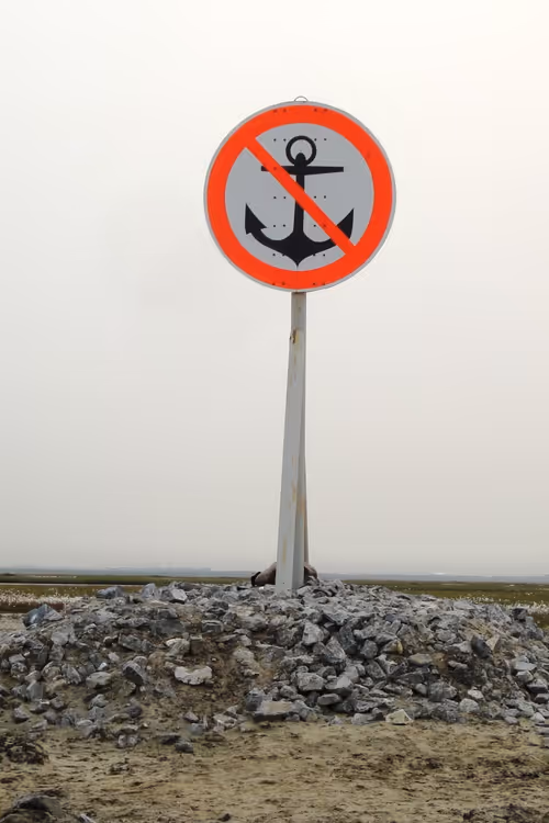 Item #49633034282414370957542520071965888619840917095152681311808904520436522418177 Media