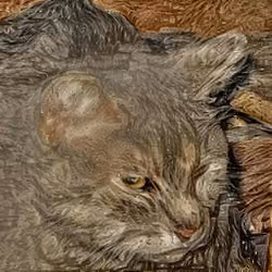 cat#4075