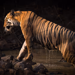 95133208909009756049449667206279702741709602474386148619312528434450770427908