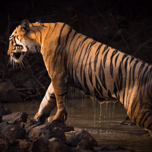 95133208909009756049449667206279702741709602474386148619312528434450770427908