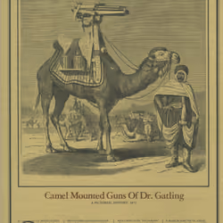 Camel Mounted Gatling Gun