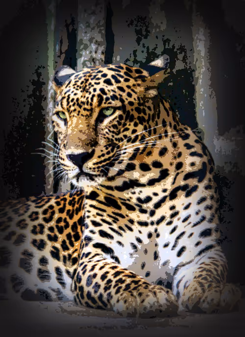 Item #112706814490930413132795555787302569515543672113453404084317514433718583820289 Media