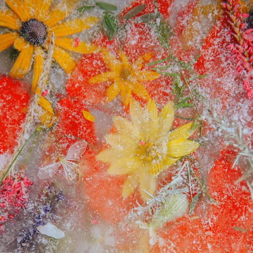 Item #80829721372825377784010953381890255518558028243098186913878117627808618381313 Media