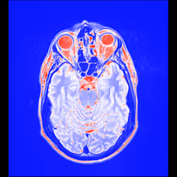 64162533542198579898252916190583583845604629893829087458582976213084947873793