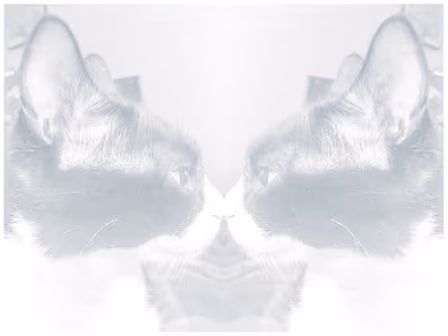 Item #62224154844929677022393842232947945299621837358898658373332336522784034258945 Media