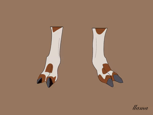 Item #24843950328459654647592333095373915695654115129450378637534313010130227036161 Media