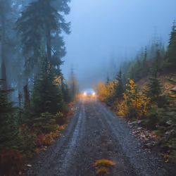 Petrichor #7 - On The Backroads