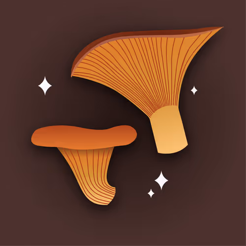 Item #53620360078498613901339183149326713416038543427946561370212887998712254562305 Media