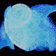 45731211464929816441170859700976373292149702980452148839612469054561702641665