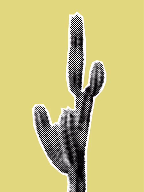 Item #25379124807980713745219244606437574046087384809022650852355167104923842117633 Media