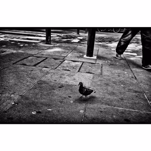 Walk This Way