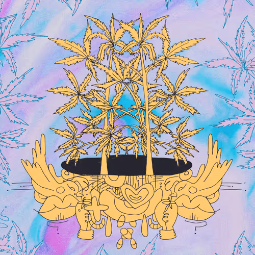 420 1/1 Justice For All