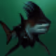 54454380677249840748926722717072301200377530719065436340930837056223826673674
