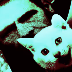 4747115153065902387790593868107453782499677024781155622119189994999474290689