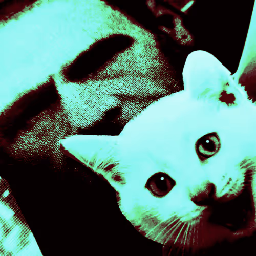 4747115153065902387790593868107453782499677024781155622119189994999474290689