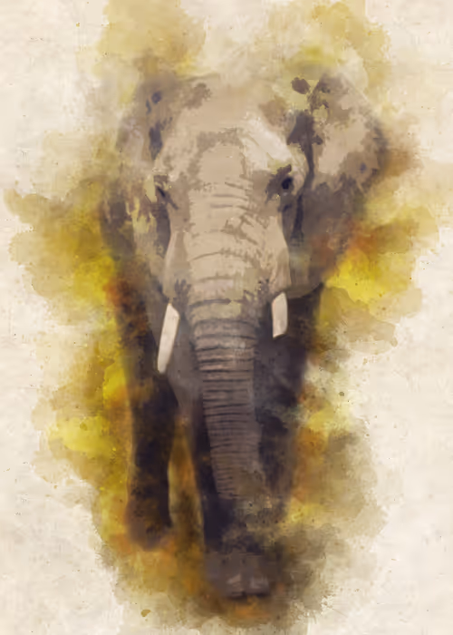 Item #15014501094177266764276721167416670682863278571620639160817117489466689191937 Media