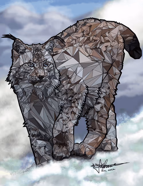 Item #27193563482882522542439939713459761912672392428874250881535280927040878936070 Media