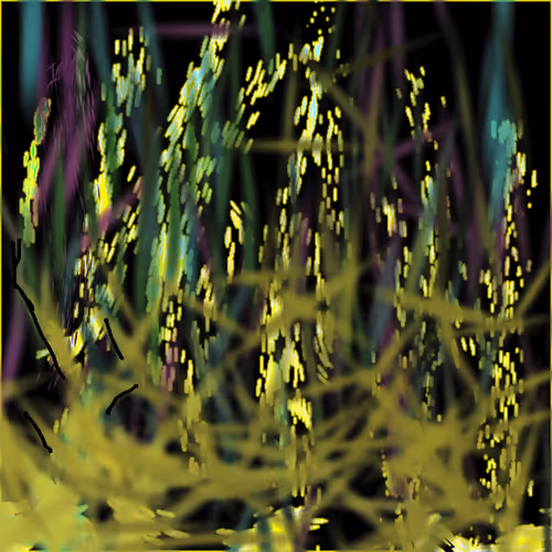 The Digital Works Of A M K