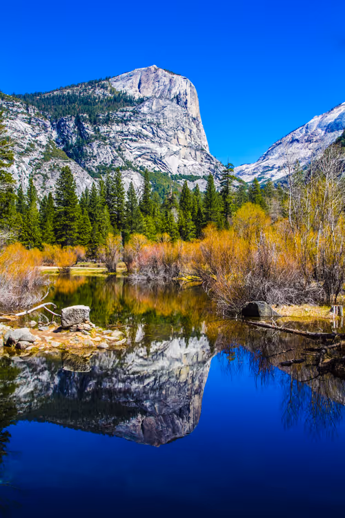 Item #42392629479489844342041238992722917738846266966173652433249185928534275653633 Media