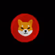 23309631316072849424784727604972743235523154029223863880430963545137152524289