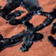 10596425669616158993126823769019043313031731721550159715578770734069961457665