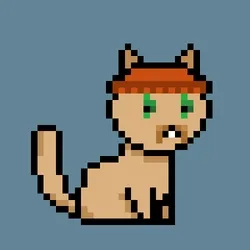 PunkCat #2267