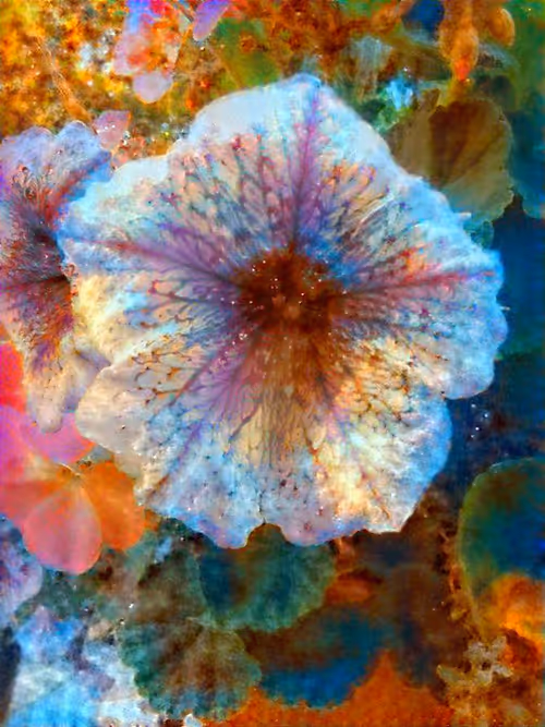 Item #95709519313414839736467615657559485801923264245807499204190561595479403003905 Media