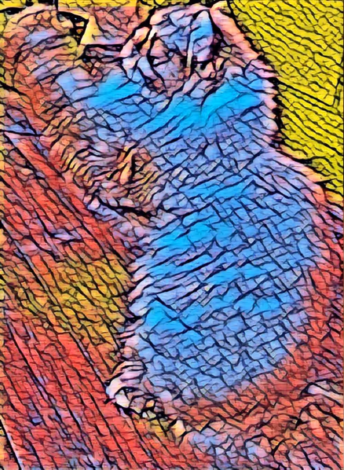 Item #15452136442586019380331282492191512479142597102059684202760305373455734276097 Media