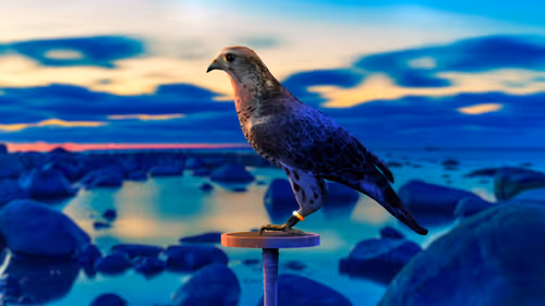 Item #5362693153686757663037229957776630052012240176014263673100968362994340724737 Media