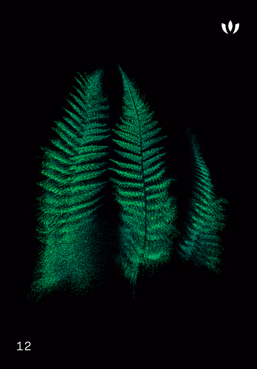 Item #30579750124061878473924884355833297327322833746354964518713563913601253638154 Media