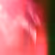 71945545190159713611935312513466202414114366369405833213277074646202983645185